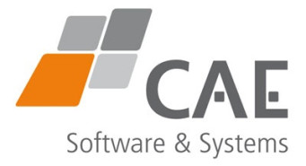 CAE Software & Systems